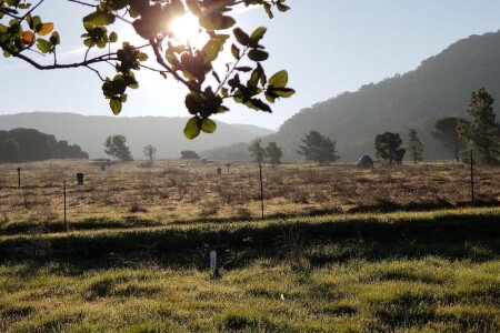 Bed and breakfast 1 bedroom, with gym