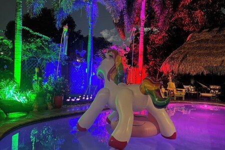 Bed and breakfast 1 bedroom, with pool