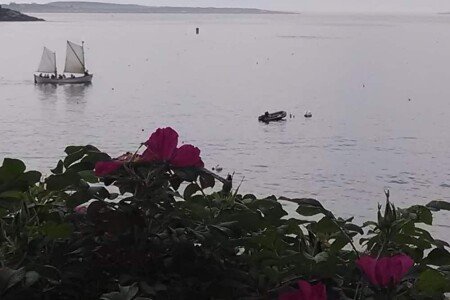 House 2 bedrooms, with jacuzzi