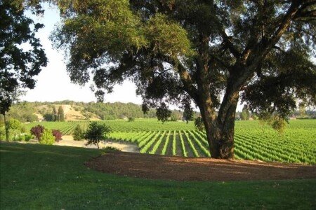 House 3 bedrooms, with jacuzzi