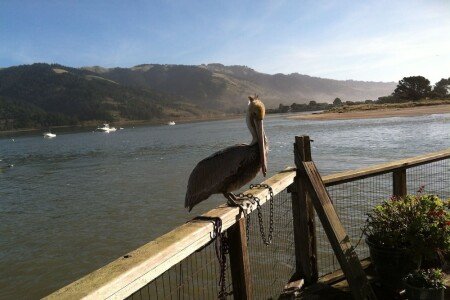 House 1 bedroom, with fireplace