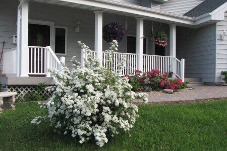 Apartment 1 bedroom, with garden