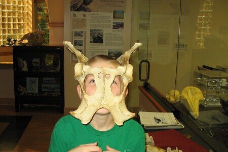 @todoptApartment @todopt1 bedroom, @todoptwith pool