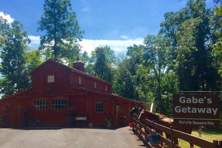 Apartment 1 bedroom, with garden