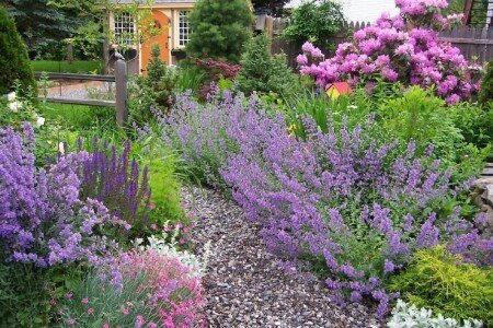 House 1 bedroom, with garden