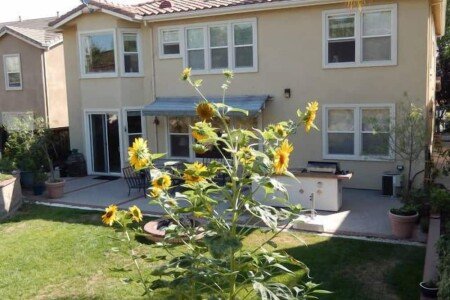 House 4 bedrooms, with jacuzzi