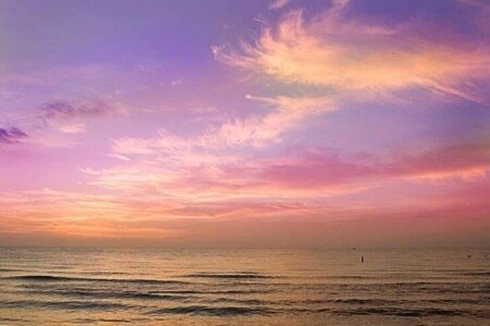 Apartment 1 bedroom, with gym