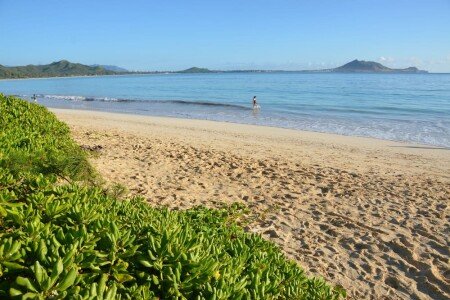 Bed and breakfast 1 bedroom, with jacuzzi