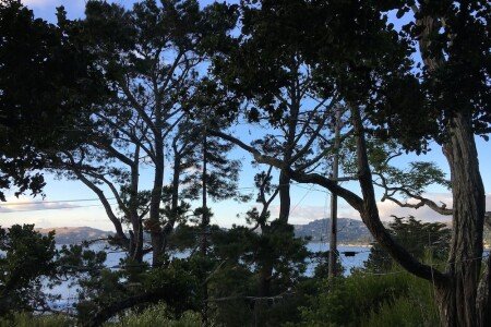 Apartment 1 bedroom, with garden