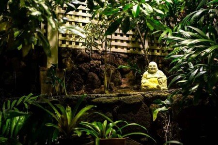 Bed and breakfast 4 bedrooms, with jacuzzi