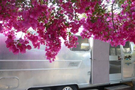 Camping / Mobil Home design, 1 chambre, avec climatisation