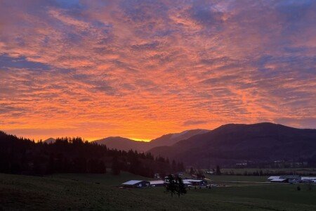 House 4 bedrooms, with jacuzzi