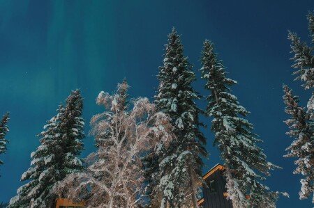 House 1 bedroom, with jacuzzi