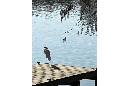 House 2 bedrooms, with garden