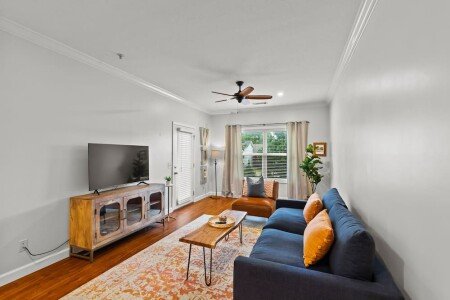 Apartment 1 bedroom, with jacuzzi