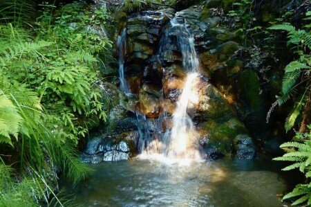 House 1 bedroom, with jacuzzi