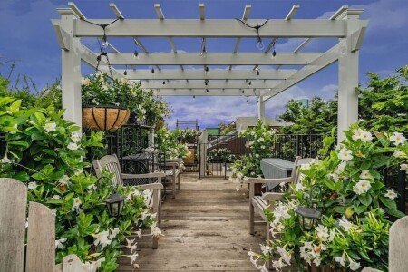 Apartment 1 bedroom, with jacuzzi