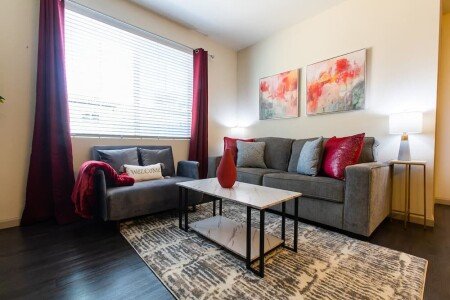 Apartment 1 bedroom, with jacuzzi