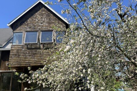 House 1 bedroom, with jacuzzi