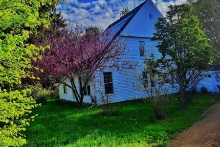 Bed and breakfast 6 bedrooms, with garden