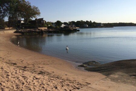 House 2 bedrooms, with garden