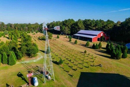 Bed and breakfast 3 bedrooms, with garden