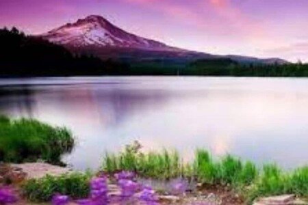 House 3 bedrooms, with jacuzzi