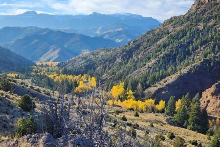 Bed and breakfast 2 bedrooms, with gym