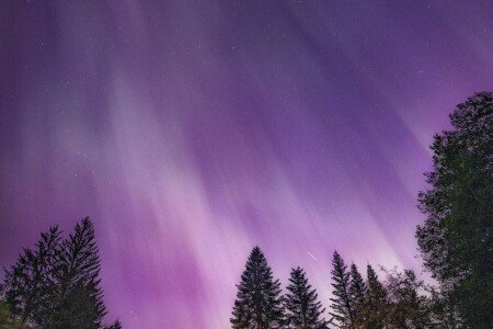 House 4 bedrooms, with jacuzzi