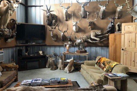 Bed and breakfast 6 bedrooms, with garden