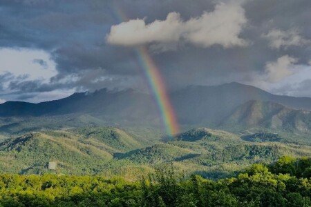 Bed and breakfast 4 bedrooms, with jacuzzi