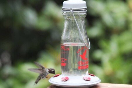 House 3 bedrooms, with garden