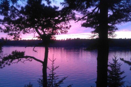 House 2 bedrooms, with garden