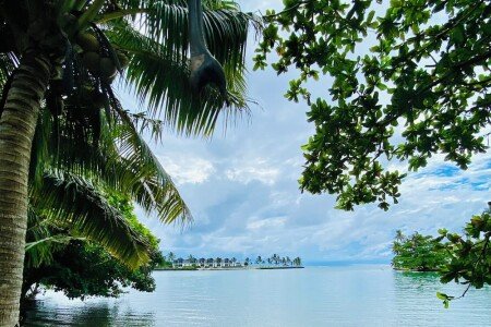 Gîte 4 chambres, avec climatisation